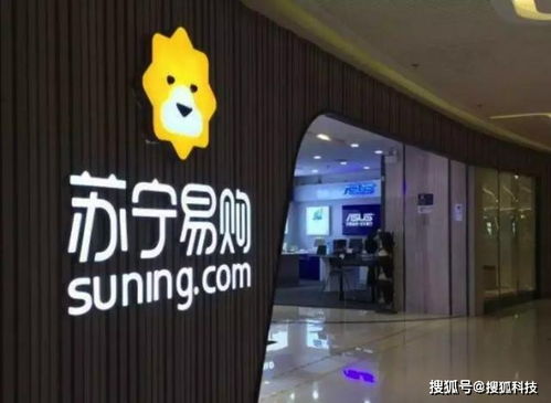 资本与市场交织下的深圳国际收购案与董明珠回应高管变动